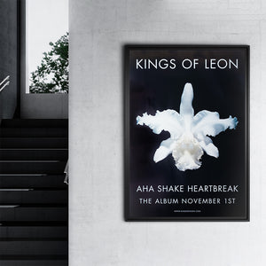 Kings of Leon - "AHA Shake Heartbreak" - Original poster