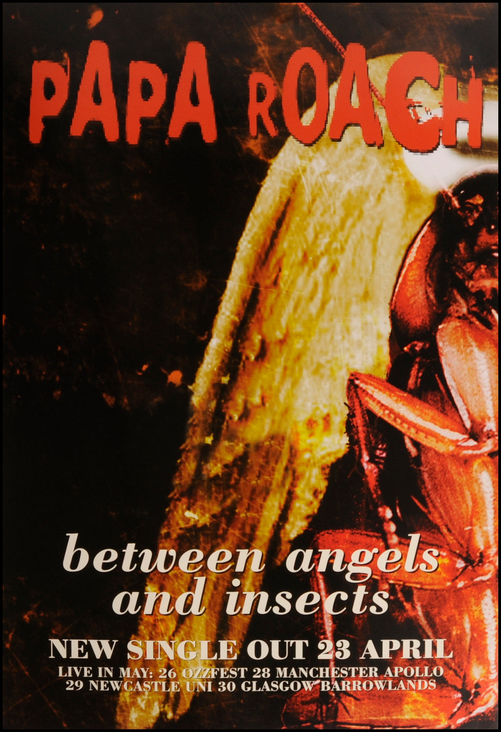 Papa Roach poster - Between angels and insects